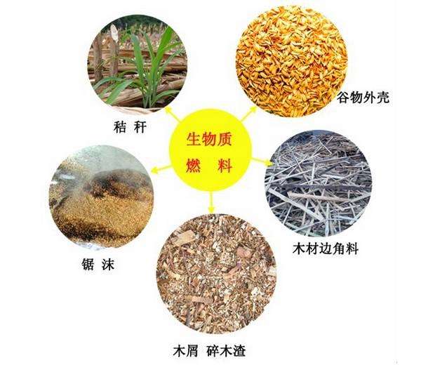 生物質(zhì)燃料 生物質(zhì)燃料